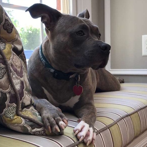 🌸CLOSET CLEAN OUT🌸 bundle 2 or more & save 20%!! - Picture 1 of 1